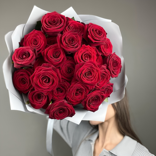 «Королевский бархат» – 25 роскошных красных роз из Эквадора  Ломоносов Санкт-Петербург