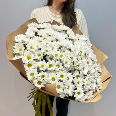 Букет «21 ромашка» – нежные белые кустовые хризантемы в натуральном стиле Ломоносов Санкт-Петербург