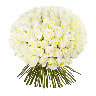 Роскошный букет из 101 белой розы – воплощение бесконечной любви Ломоносов Санкт-Петербург