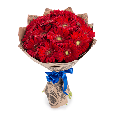 Яркий букет из 15 красных гербер – воплощение страсти и жизнерадостности Ломоносов Санкт-Петербург