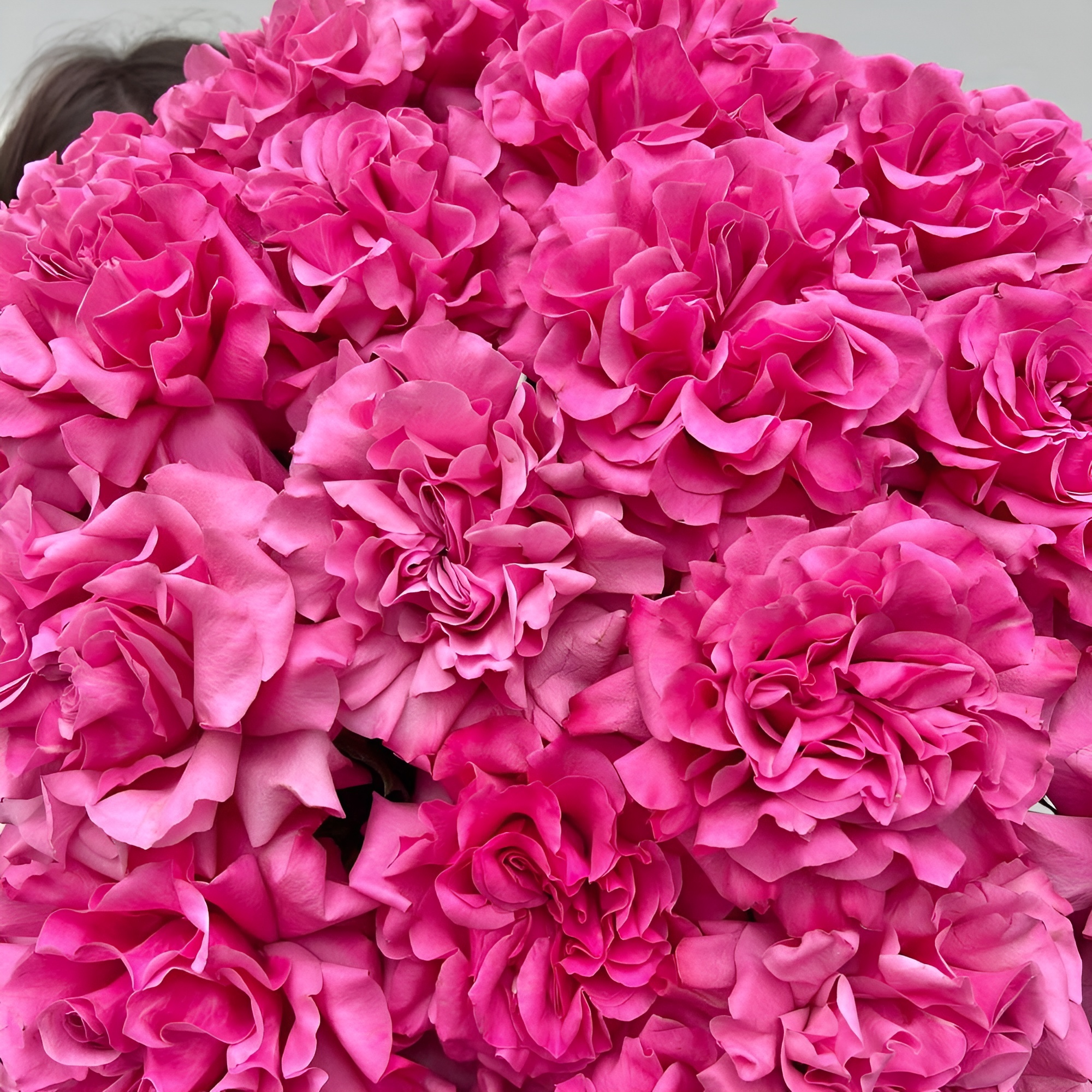 Роскошный букет из пионовидных роз – королевский подарок Ломоносов Санкт-Петербург