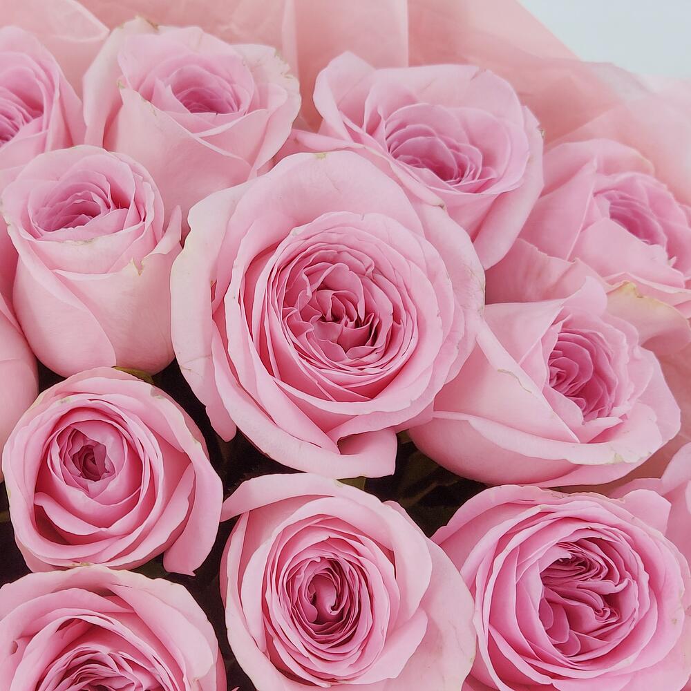 Букет из нежно-розовых роз – элегантность в каждом лепестке Ломоносов Санкт-Петербург