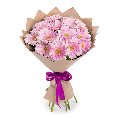 Нежный букет из 15 розовых гербер – воплощение трогательных чувств Ломоносов Санкт-Петербург