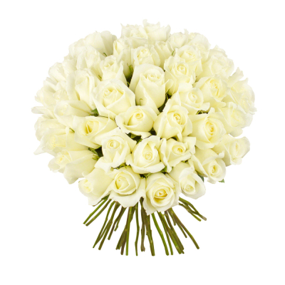 Роскошный букет из 51 белой розы – символ безграничной преданности Ломоносов Санкт-Петербург
