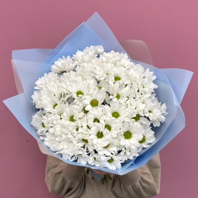 Букет «Ромашковое поле» – свежесть белых хризантем Ломоносов Санкт-Петербург