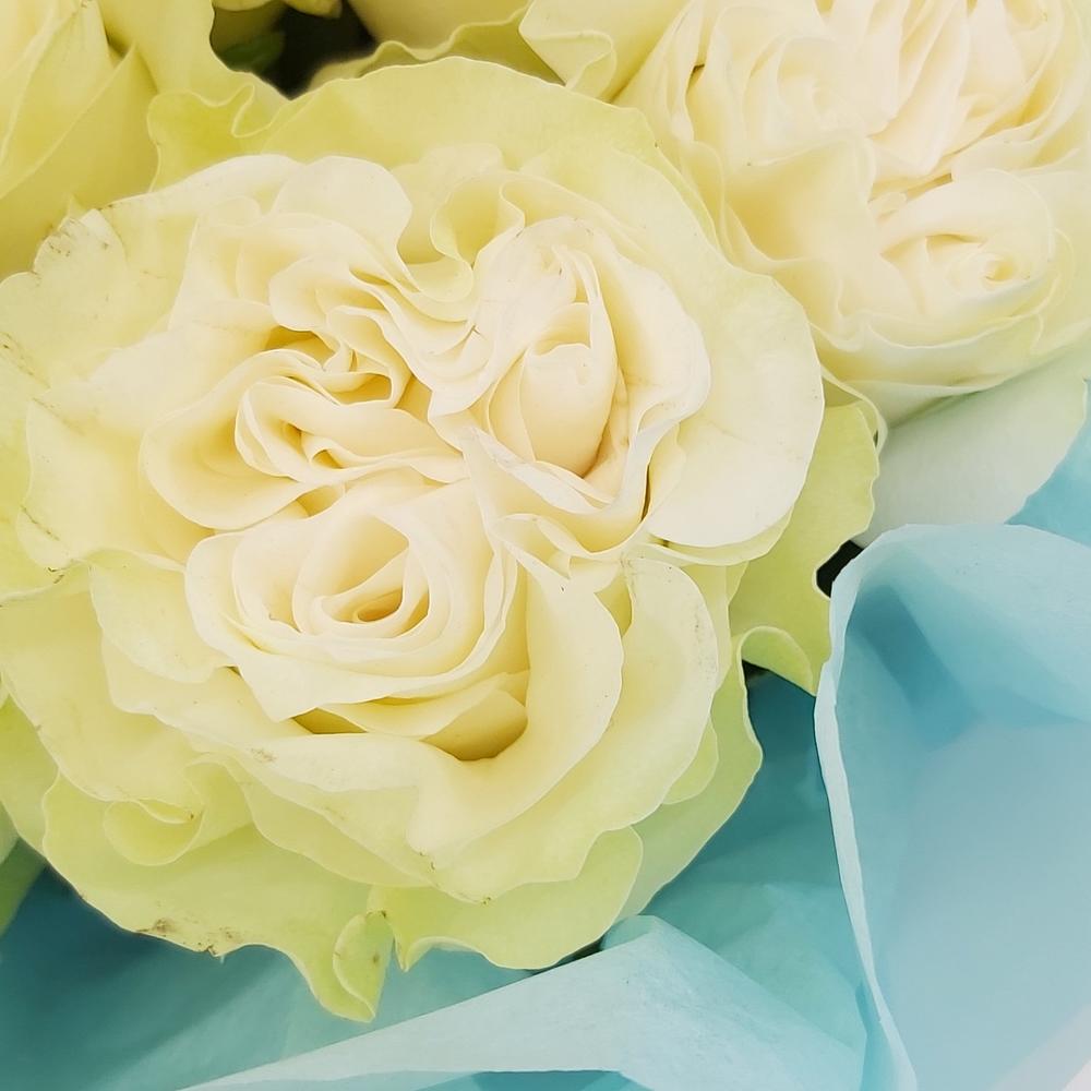 Букет «Кружевное облачко» – 11 белоснежных роз в нежной упаковке Ломоносов Санкт-Петербург