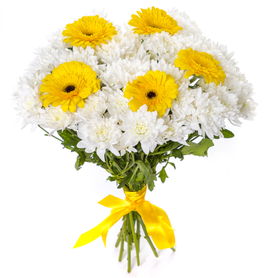 Солнечный букет из желтых гербер и белых хризантем – радость в каждом лепестке Ломоносов Санкт-Петербург