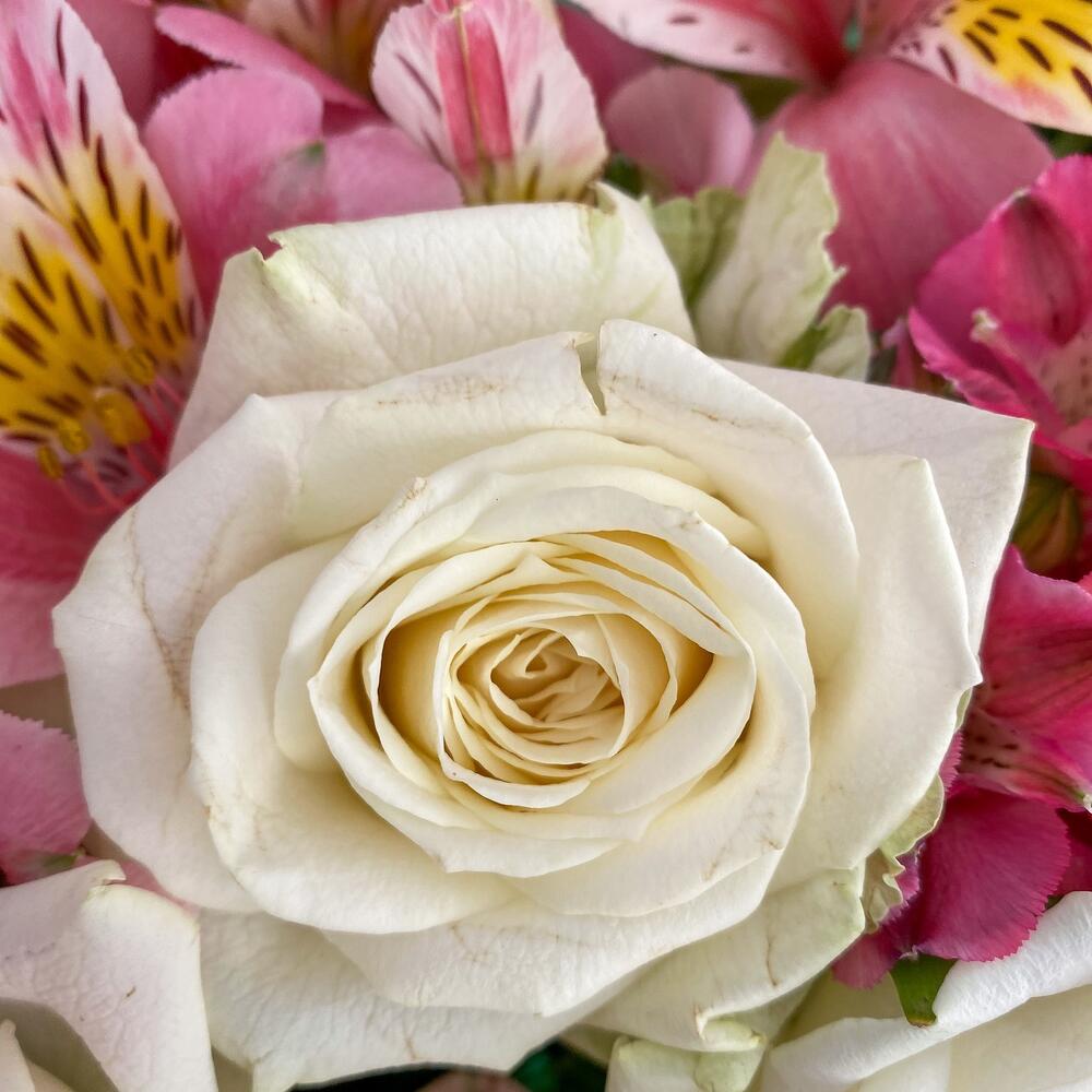 Букет «Николь» – изысканное сочетание роз, кустовых роз и альстромерий Ломоносов Санкт-Петербург