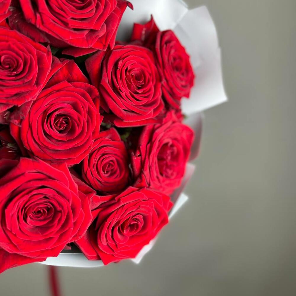 «Королевский бархат» – 25 роскошных красных роз из Эквадора  Ломоносов Санкт-Петербург