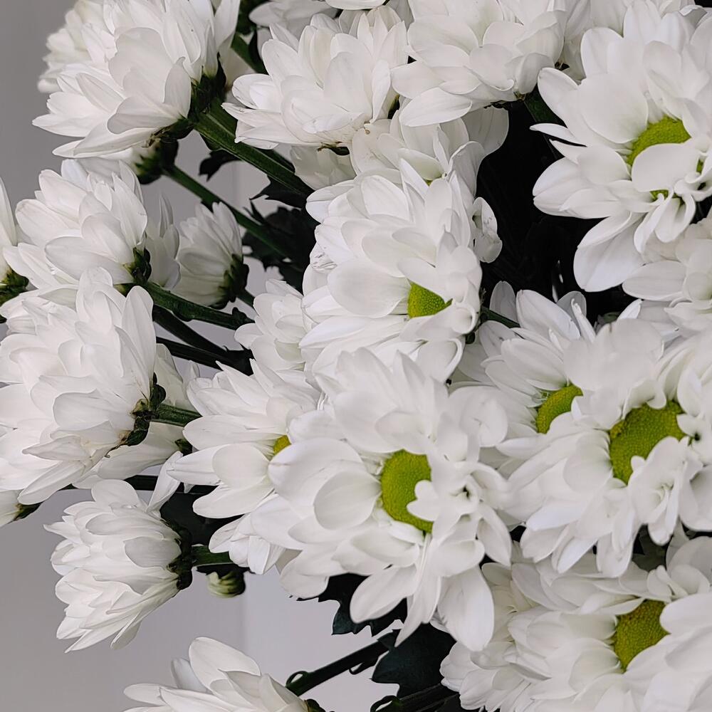 Букет «Ромашка» — свежесть белых хризантем в деревенском стиле Ломоносов Санкт-Петербург