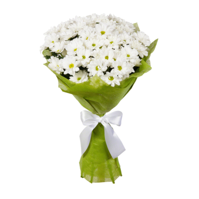 Пышный букет из хризантем – элегантность в каждом лепестке Ломоносов Санкт-Петербург