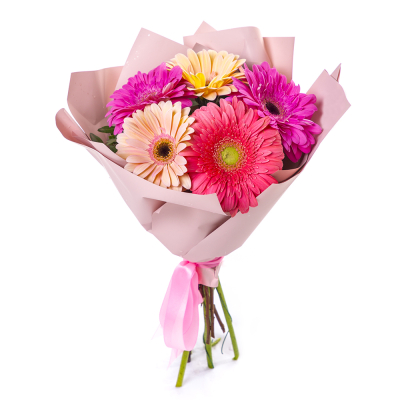 Яркий букет из 5 разноцветных гербер – солнечное настроение в подарок Ломоносов Санкт-Петербург