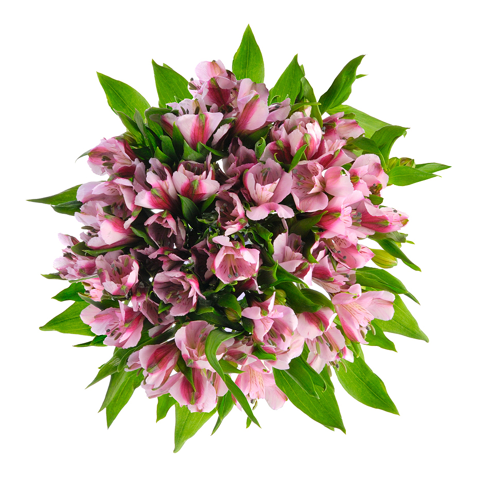 Букет «Хорошее настроение» из розовых альстромерий – солнечный подарок Ломоносов Санкт-Петербург