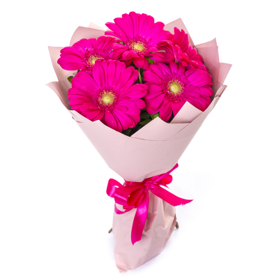 Букет из 5 малиновых гербер – сочный акцент вашего подарка Ломоносов Санкт-Петербург