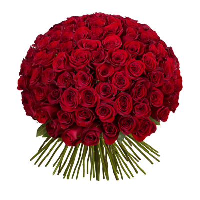 Букет из 101 красной розы – символ бесконечной страсти Ломоносов Санкт-Петербург