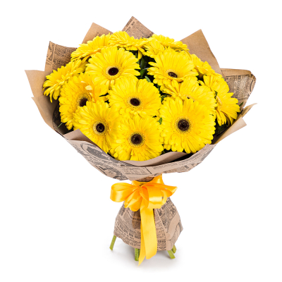 Пышный букет из 15 жёлтых гербер – как луч солнца в ваших руках Ломоносов Санкт-Петербург