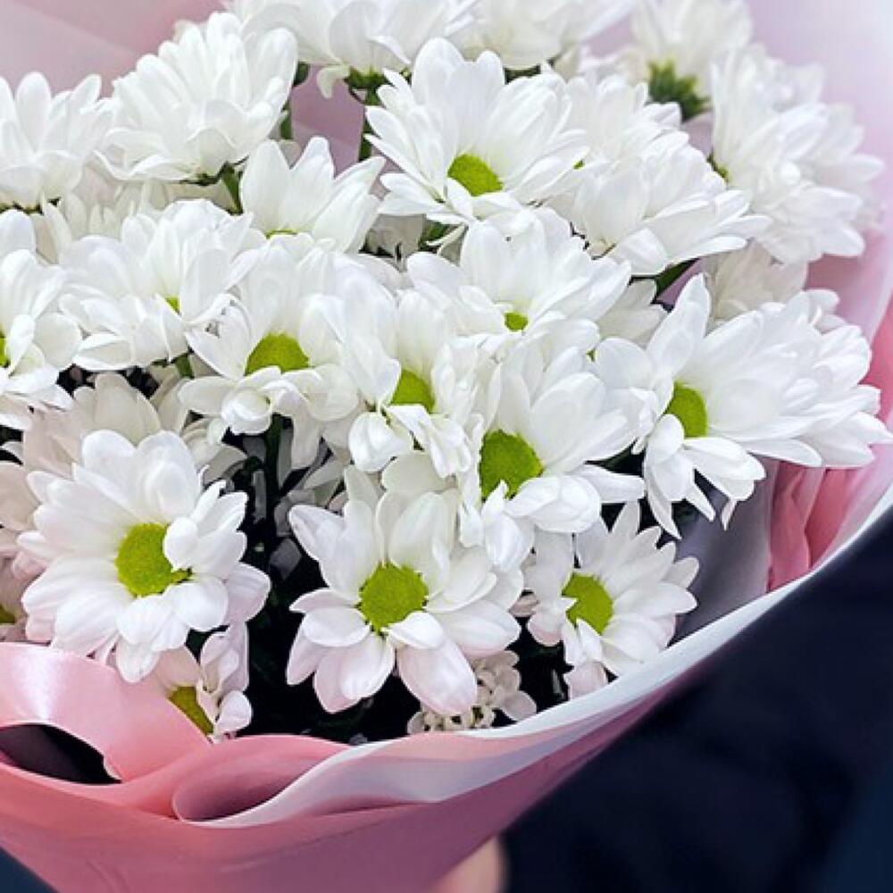 Букет «Розовое счастье» – нежность белых хризантем Ломоносов Санкт-Петербург